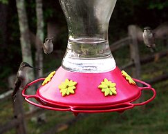 Garden Inn Bed & Breakfast at Bee Rock