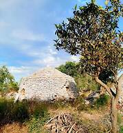 Verdeoliva Bed & Breakfast