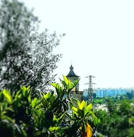 Verdeoliva Bed & Breakfast