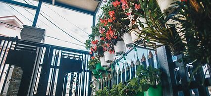 Villa Homestay Minh Hieu