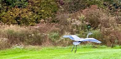 Galvanized America Inn & Art Gallery