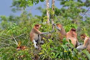 Houseboat Bee Kelotok