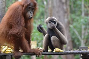 Houseboat Bee Kelotok