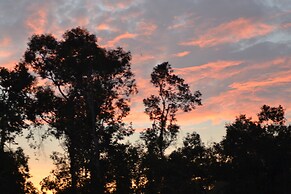 Houseboat Bee Kelotok