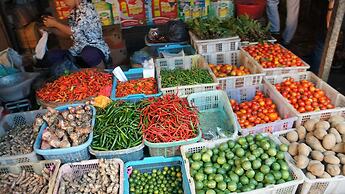 Houseboat Bee Kelotok