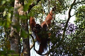 Houseboat Bee Kelotok