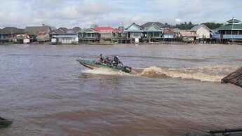 Houseboat Bee Kelotok