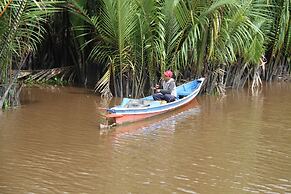 Houseboat Bee Kelotok