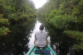 Houseboat Bee Kelotok