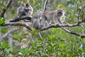 Houseboat Bee Kelotok