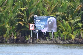 Houseboat Bee Kelotok