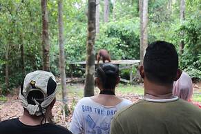 Houseboat Bee Kelotok