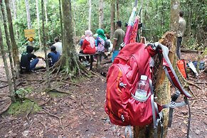 Houseboat Bee Kelotok