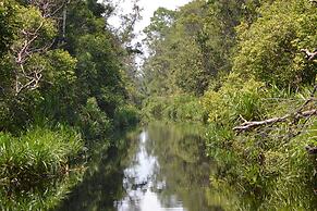 Houseboat Bee Kelotok