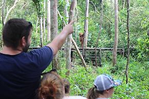 Houseboat Bee Kelotok