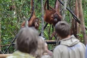 Houseboat Bee Kelotok