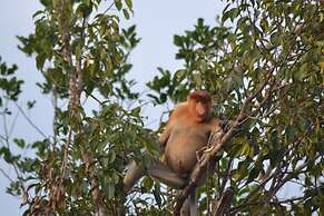 Houseboat Bee Kelotok