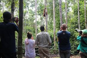 Houseboat Bee Kelotok