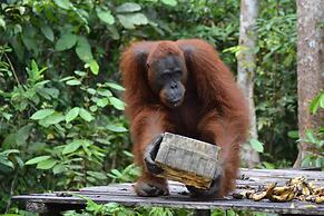 Houseboat Bee Kelotok