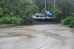 Houseboat Bee Kelotok