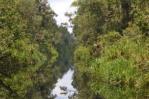 Houseboat Bee Kelotok