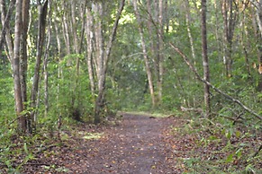 Houseboat Bee Kelotok
