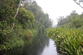 Houseboat Bee Kelotok