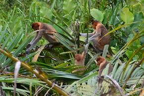 Houseboat Bee Kelotok