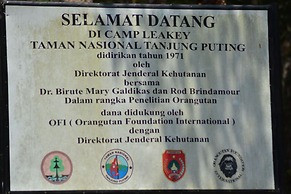 Houseboat Bee Kelotok