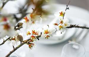 Alkamuri Posh Hotel & Spa