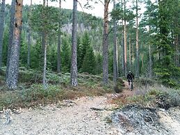 Nisser Hyttegrend Og Camping