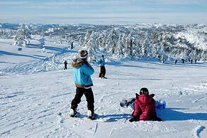 Nisser Hyttegrend Og Camping