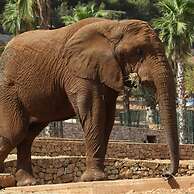 NA Volte Trulli e Quiete