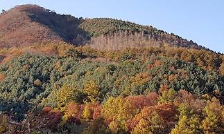 Hwaya Mountain Pension