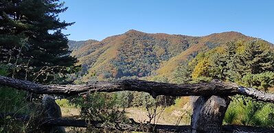Hwaya Mountain Pension