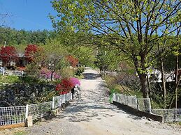 Hwaya Mountain Pension