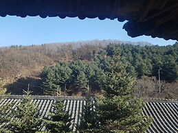 Hwaya Mountain Pension