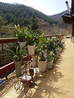 Hwaya Mountain Pension