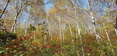 Hwaya Mountain Pension