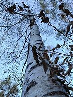 Hwaya Mountain Pension