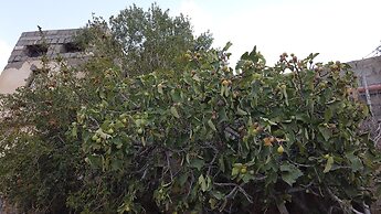 Sama Wakan Heritage Home