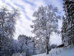 Gasthof Braun