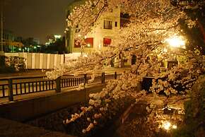 TOWN HOTEL Forty One