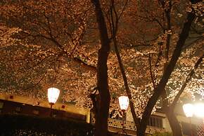 TOWN HOTEL Forty One