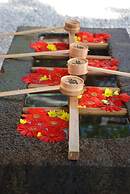 TOWN HOTEL Forty One