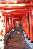 TOWN HOTEL Forty One