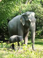 Marisa Resort & Spa Chiang Dao