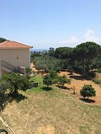 Koukounaries Studios