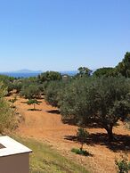 Koukounaries Studios