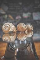 Grand Central Athinian Apartments